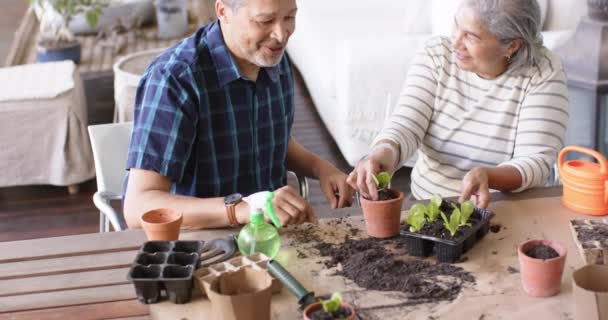 Feliz Pareja Ancianos Diversos Sentados Mesa Plantando Plantas Macetas Porche — Vídeo de stock