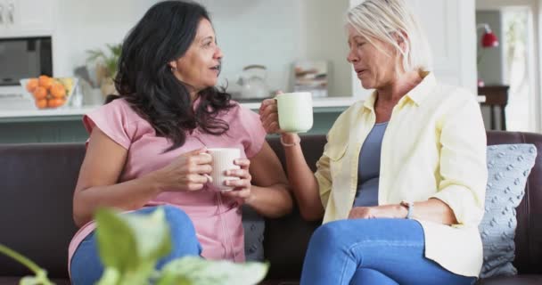 快乐多样的老年女性喝咖啡 在阳光充足的客厅沙发上聊天 慢动作 家庭生活和老年生活方式 — 图库视频影像