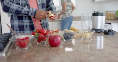 Mutfakta meyveli buzlu içecek hazırlayan mutlu eşcinsel çift fotokopi alanı, ağır çekim. Yiyecek, beslenme, gay, ilişki, birliktelik, ev hayatı ve sağlıklı yaşam tarzı, değişmemiş.