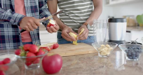 Happy Diverse Gay Male Couple Preparing Fruit Healthy Smoothie Kitchen — Stock Video
