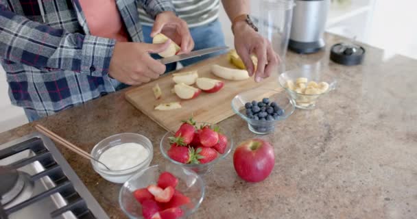 Glad Olika Homosexuella Manliga Par Förbereder Frukt För Smoothie Köket — Stockvideo