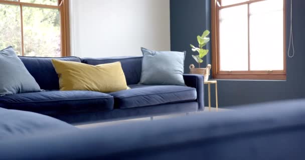 客厅里两张蓝色沙发上的长椅 复制空间 慢动作 室内装饰 家庭生活和生活方式 — 图库视频影像