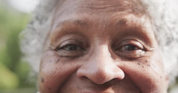 Retrato Cerca Los Ojos Feliz Mujer Afroamericana Senior Sonriendo Jardín — Vídeo de stock