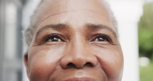 Retrato Cerca Feliz Anciano Afroamericano Mujer Sonriendo Jardín Cámara Lenta — Vídeos de Stock