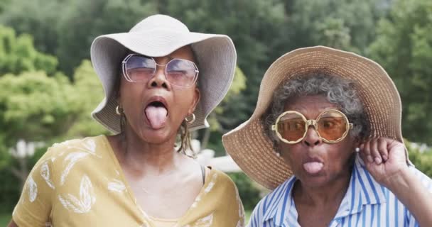 Портрет Щасливих Старших Афроамериканських Друзів Які Роблять Смішні Обличчя Саду — стокове відео