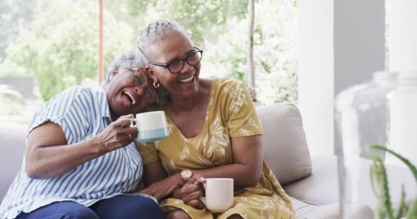 Gelukkige Senioren Afro Amerikaanse Vriendinnen Die Koffie Drinken Lachen Woonkamer — Stockvideo
