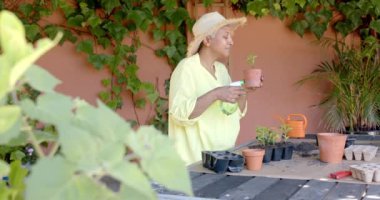 Mutlu son sınıf melez kadınlar bahçedeki saksılara çiçek dikip suluyor, ağır çekimde. Ev hayatı, doğa, emeklilik ve yaşam tarzı, değişmedi..