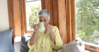 Kanepede oturan ve evde çay içen mutlu son sınıf melez kadın, ağır çekimde. Ev hayatı, içki, emeklilik ve yaşam tarzı, değişmedi..