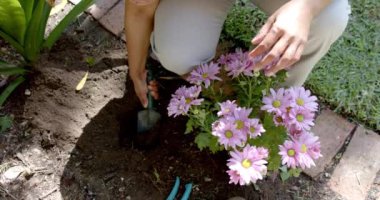 Kıdemli melez kadın evdeki güneşli bahçeye çiçek dikiyor, ağır çekimde. Ev hayatı, doğa, emeklilik ve yaşam tarzı, değişmedi..