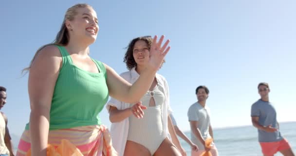 Çeşitli Arkadaşlar Plajda Güneşli Bir Günün Tadını Çıkarıyorlar Fotokopi Odasıyla — Stok video