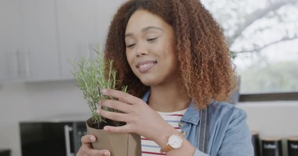 Νεαρή Αφρο Αμερικανίδα Μυρίζει Φρέσκα Βότανα Στο Σπίτι Απολαμβάνει Μια — Αρχείο Βίντεο