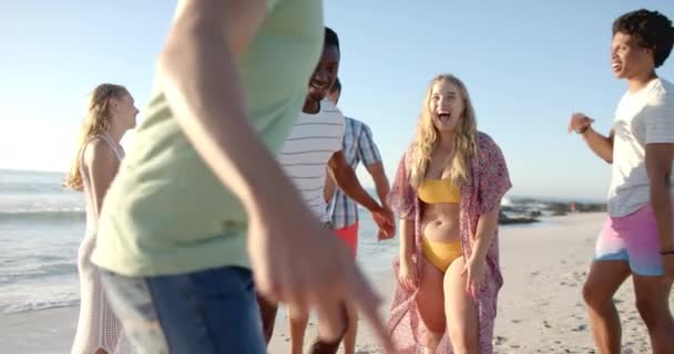 Разнообразная Компания Друзей Наслаждается Днем Пляже Делятся Смехом Весельем Открытом — стоковое видео