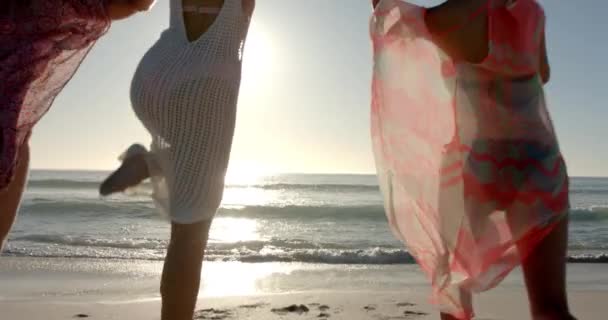 Três Jovens Mulheres Desfrutam Dia Praia Ensolarado Espírito Despreocupado Grupo — Vídeo de Stock