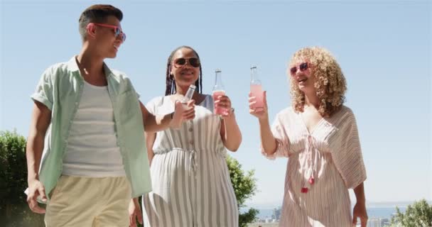 다양한 친구들이 토스트로 야외에서 축하합니다 얼굴과 음료는 슬로우 모션에서 기쁨의 — 비디오