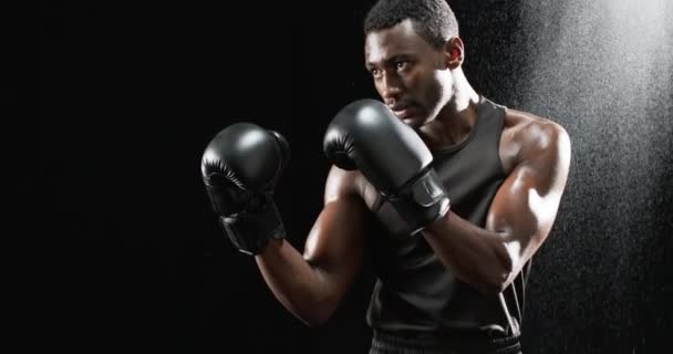 Boxeador Afroamericano Listo Ring Sobre Fondo Negro Intenso Enfoque Mientras — Vídeo de stock