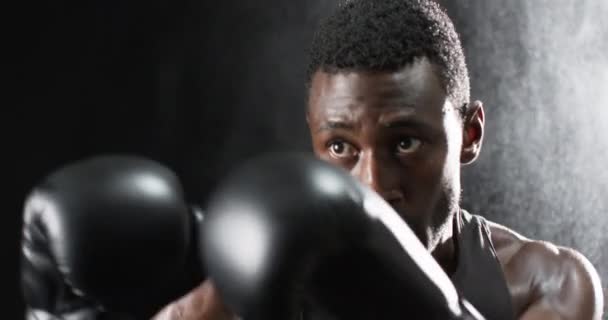 Afroameričtí Boxeři Trénují Intenzivně Tělocvičně Černém Pozadí Pot Odhodlání Jsou — Stock video