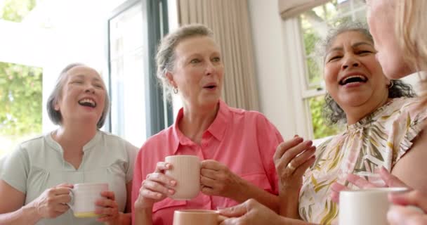 Старша Різноманітна Група Жінок Ділиться Радісним Моментом Над Кавою Сміх — стокове відео
