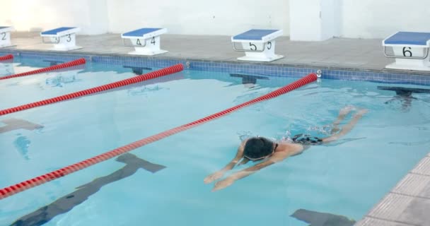 运动员在室外游泳池里游泳 这位游泳运动员正在练习自由泳 展示自己的献身精神和健身能力 慢动作 — 图库视频影像
