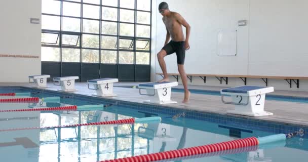 운동선수 수영자는 수영장에서 다이빙을 준비합니다 집중된 자세는 플런지 슬로우 모션을 — 비디오