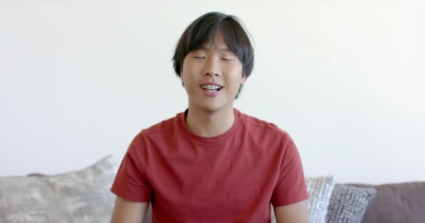 Teenageralter Asiatischer Junge Sitzt Bequem Hause Bei Einem Videoanruf Seine — Stockvideo