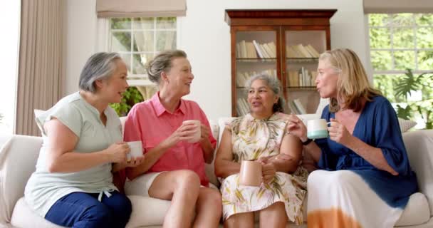 高级不同群体的妇女在家中分享欢笑 这个场景记录了朋友之间的欢乐和友谊 以及缓慢的动作 — 图库视频影像