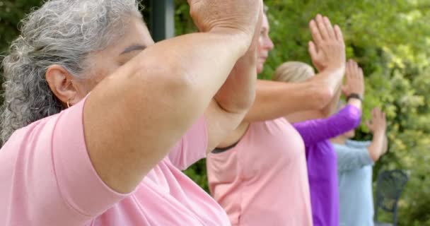 Donna Biraciale Anziana Pratica Yoga All Aperto Concentra Sulla Sua — Video Stock