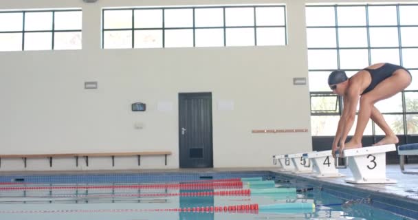 白人女游泳运动员在室内游泳池里进行跳水 她的体形展现了竞技游泳 慢动作所需的精准和技巧 — 图库视频影像