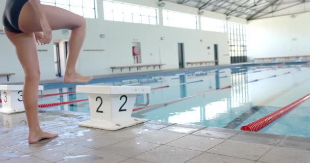 Caucasian Female Swimmer Athlete Prepares Dive Pool Indoor Facility Captured — Stock Video