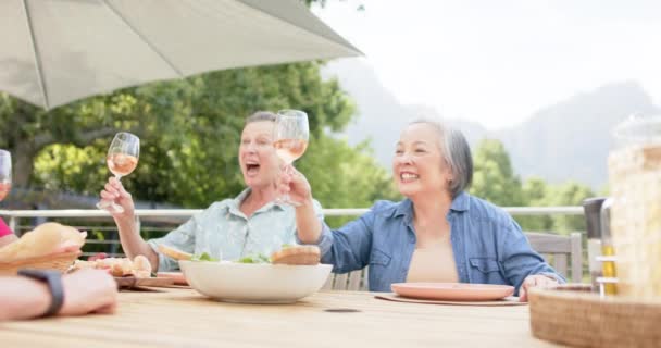 Senior Diverse Group Women Enjoying Toast Outdoors Senior Biracial Woman — Stock Video