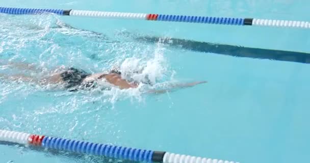 Mujer Atleta Nadadora Caucásica Nadando Una Piscina Con Espacio Para — Vídeos de Stock