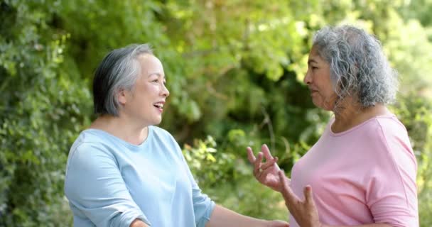 年长的妇女和亚洲妇女在户外拥抱 他们热情的微笑和亲切的拥抱传达出强烈的联系和快乐 缓慢的动作 — 图库视频影像
