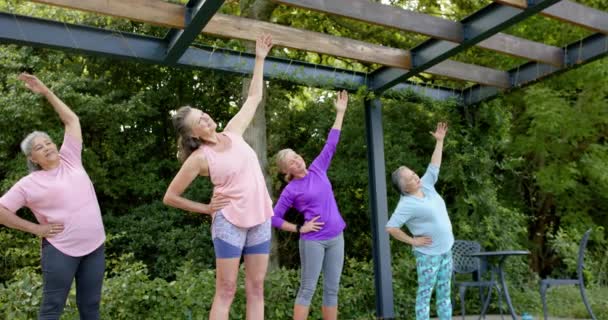 Üst Düzey Kadın Grupları Dışarıda Egzersiz Yapıyor Parkta Esneme Hareketleri — Stok video