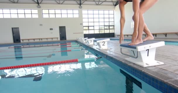 游泳运动员在室内游泳池的起跳台站稳 这位运动员准备跳入水中进行竞速 慢动作的游泳 — 图库视频影像