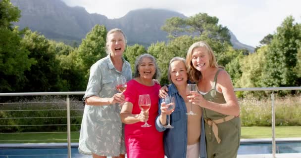 屋外で乾杯する女性の多様なグループ 風光明媚な屋外環境でワイントーストとの友情を祝い ゆっくりとした動き — ストック動画