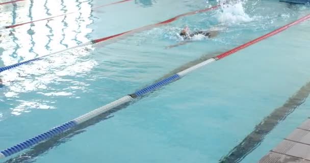 Zwemmer Actie Bij Een Overdekt Zwembad Focus Ligt Techniek Van — Stockvideo