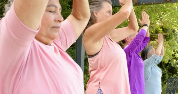 Senior Diverso Grupo Mujeres Que Practican Yoga Aire Libre Centran — Vídeos de Stock