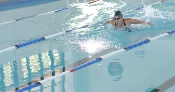 수영장에서 행동하는 수영장 선수는 스트로크를 수영의 역학을 보여주는 슬로우 — 비디오