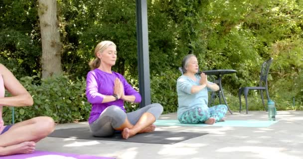 Senior Groupe Diversifié Femmes Pratiquant Yoga Extérieur Réglage Serein Améliore — Video