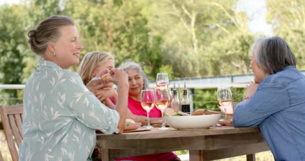 Ältere Frauen Genießen Eine Mahlzeit Freien Die Gruppe Teilt Lachen — Stockvideo