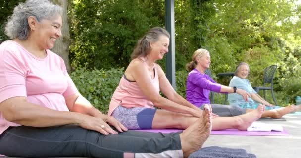 Senior Biracial Kvinna Och Olika Grupp Utövar Yoga Utomhus Njuta — Stockvideo