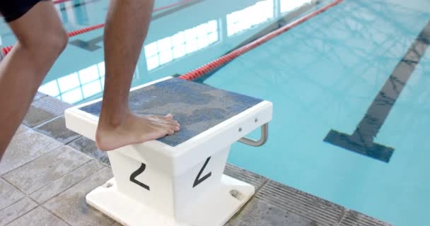 Zwemmer Klaar Duiken Bij Het Startblok Van Het Zwembad Indoor — Stockvideo