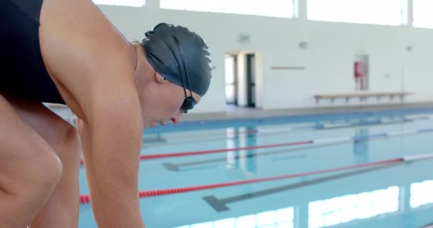 Profesjonalny Pływak Krawędzi Basenu Gotowy Nurkowania Skupia Się Treningu Zakładzie — Wideo stockowe