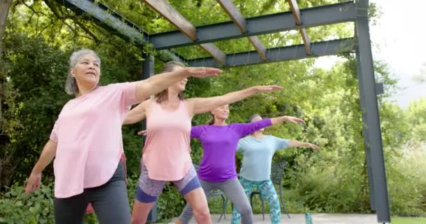 Senior Diverse Groep Vrouwen Die Buiten Yoga Beoefenen Richten Zich — Stockvideo