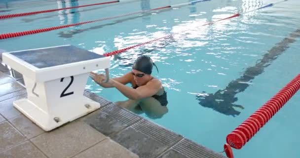 Mujer Atleta Nadadora Caucásica Descansa Piscina Con Espacio Para Copiar — Vídeos de Stock