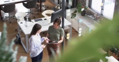 Genç beyaz kadın ve Asyalı kadın ofis ortamında bir tablet üzerinde iş konuşuyorlar. Sıradan giyiniyorlar, ofis bitkilerle ve doğal ışıkla modern, yavaş çekimde..