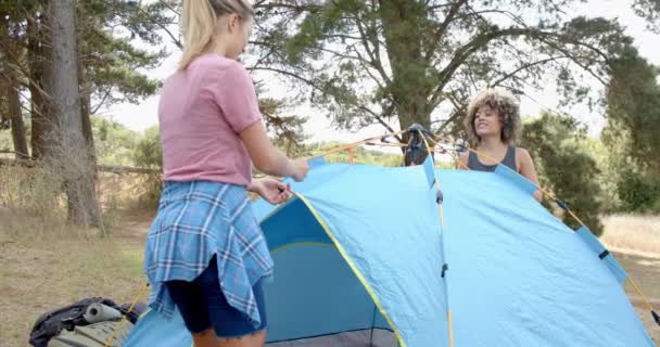 코카서스 여성과 여성은 야외에서 텐트를 설치했습니다 그들은 활동에 설정에서 나무로 — 비디오