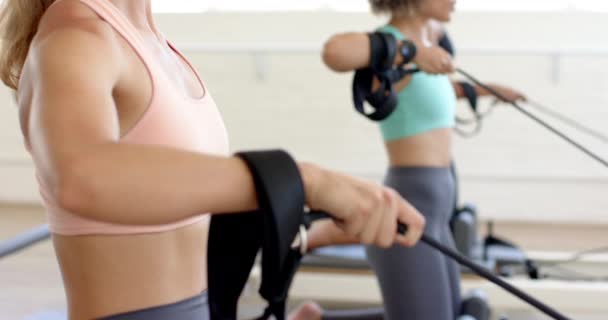 Konzentriert Auf Ihr Workout Trainiert Eine Gruppe Frauen Auf Rudergeräten — Stockvideo