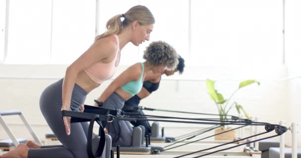 Young Caucasian Woman Biracial Woman Exercising Pilates Reformer Machines Focused — Stock Video