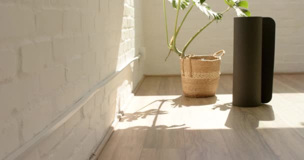 Eine Topfpflanze Wirft Einen Schatten Auf Den Boden Eines Sonnigen — Stockvideo