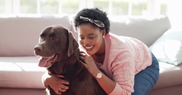 Африканська Американка Обіймає Коричневого Собаку Лабрадора Дивані Вдома Радісний Вираз — стокове відео